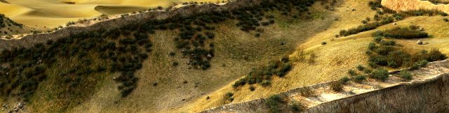 desert
