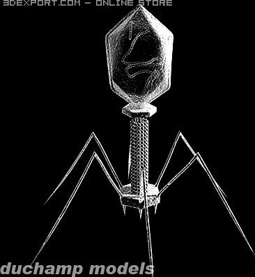 Bacteriophage Virus 3D Model