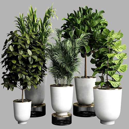 collection Indoor plant 35 -concrete vase