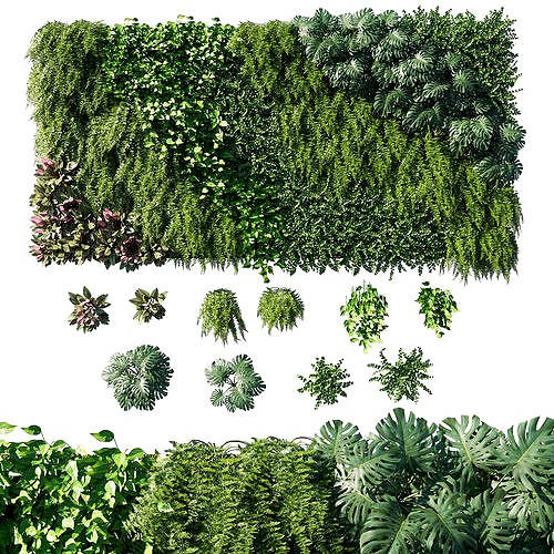 Vertical garden  Green wall 12