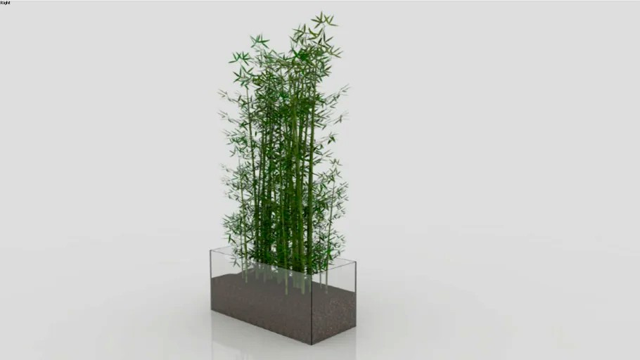 bambu