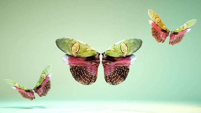 Butterfly Creoboter Mortis JAVA