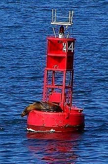 Buoy marine