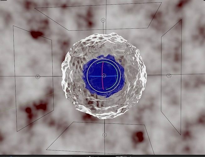Stem Cell