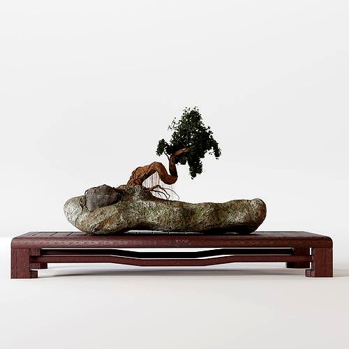 Japan bonsai
