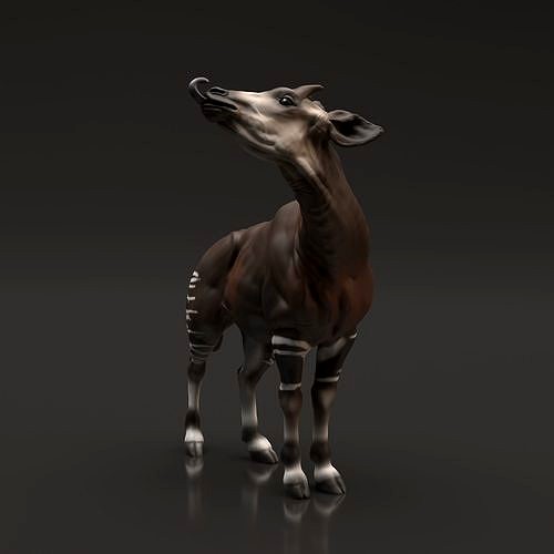 Okapi for 3D Printing | 3D