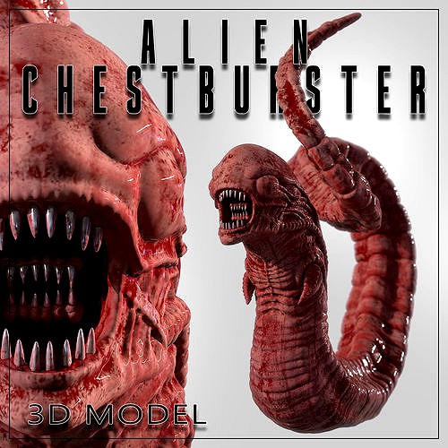 Alien Chestburster  | 3D