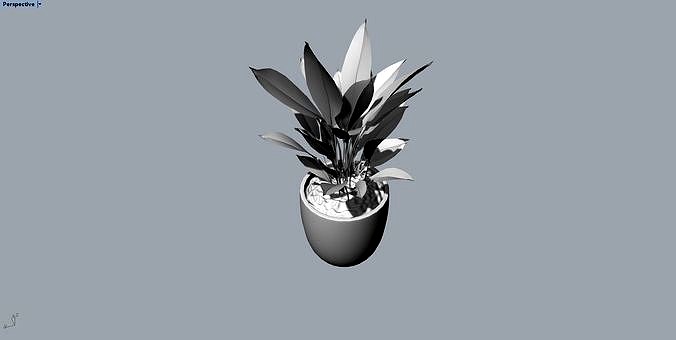 potted plants | 3D