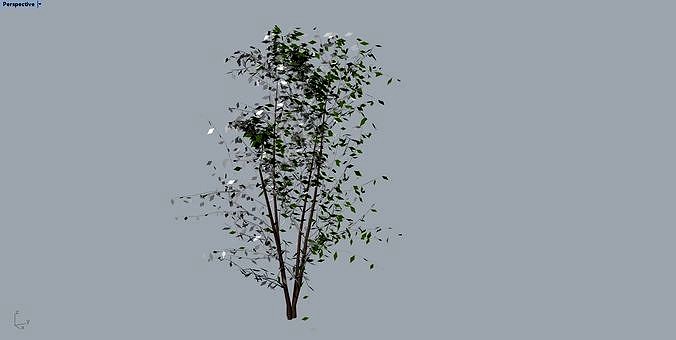 potted plants | 3D