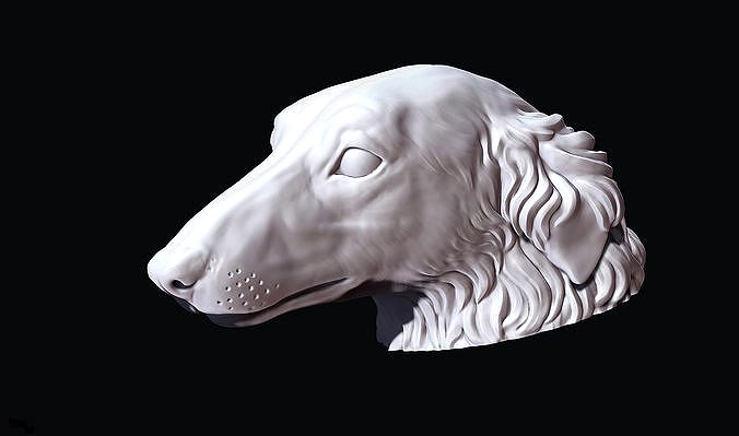 Borzoi Dog Head | 3D