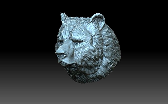 Head Bear | 3D