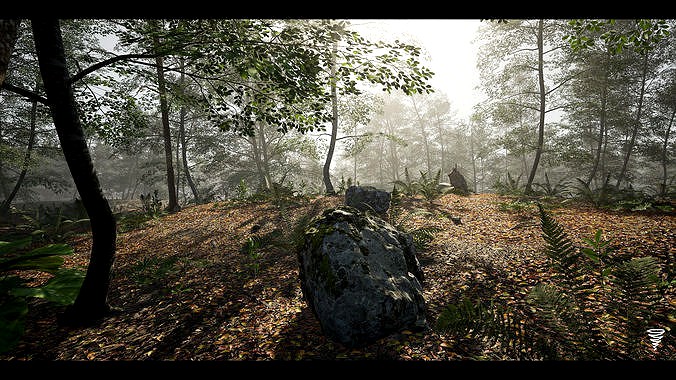 MAE Beech Forest - UE4 and UE5