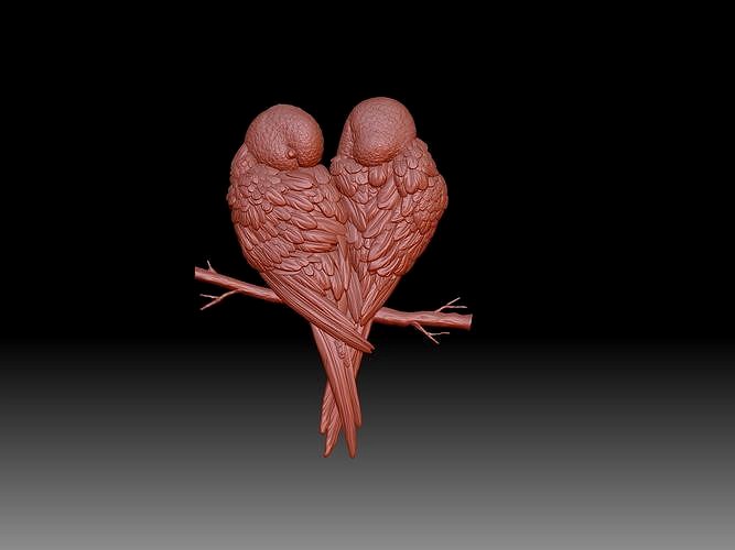 Parrots | 3D