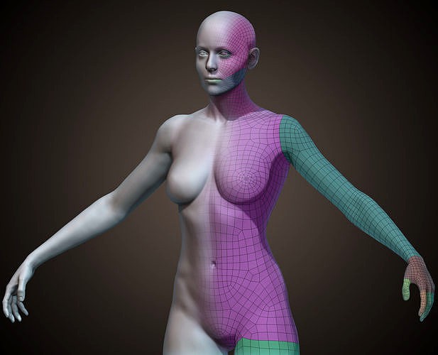 Female BaseMesh
