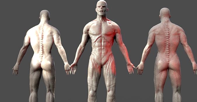 Zombie Warrior anatomy 1 3D