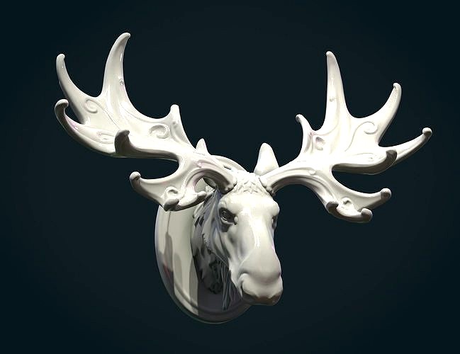 Moose Head | 3D