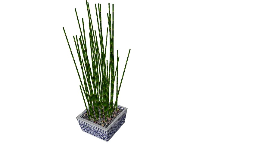 bambu air