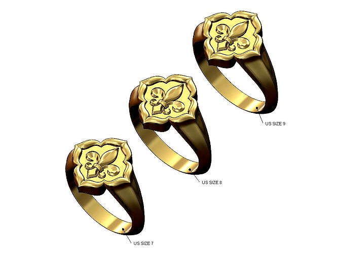 Lily ornament window signet ring Us sizes 7 8 9 | 3D