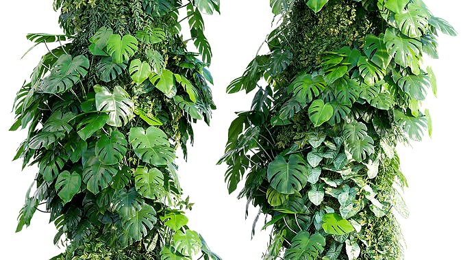 Verticalgarden 28
