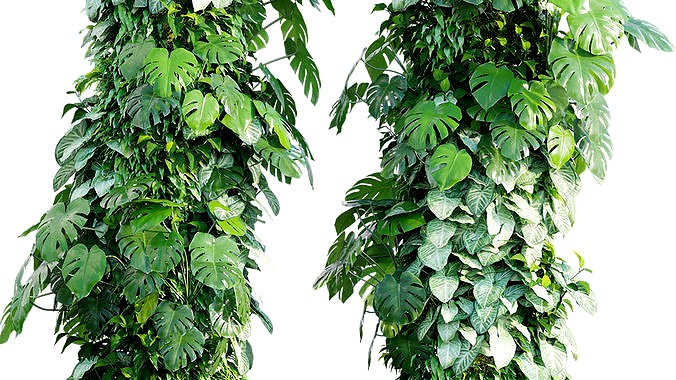 Vertical garden 29