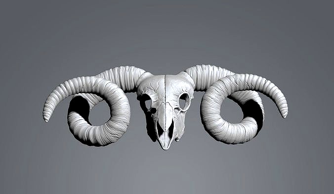 decoracion craneo cabra | 3D