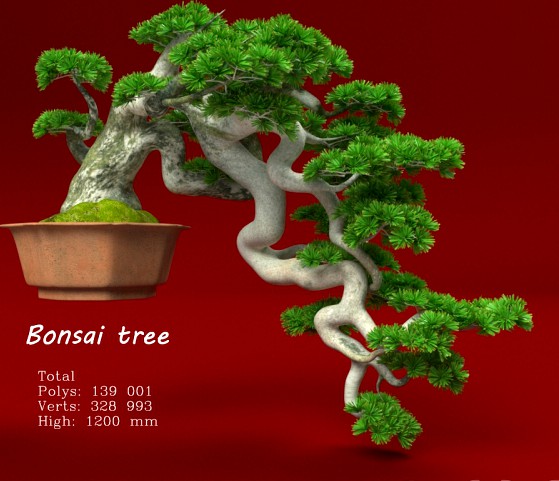 Bonsai tree