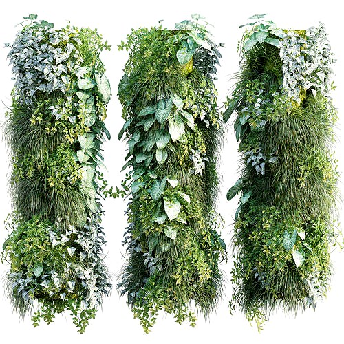 Vertical garden 24