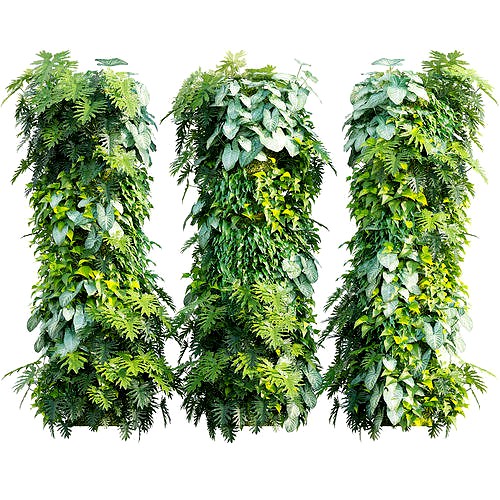 Vertical garden 27