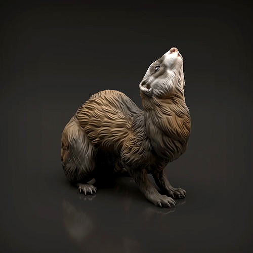 Ferret for 3D Printing | 3D