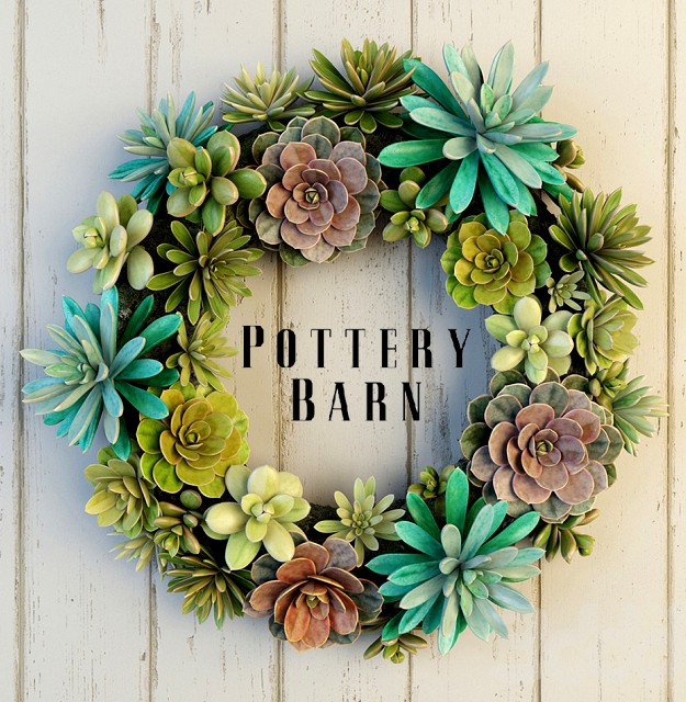 Pottery Barn Succulent Wreath