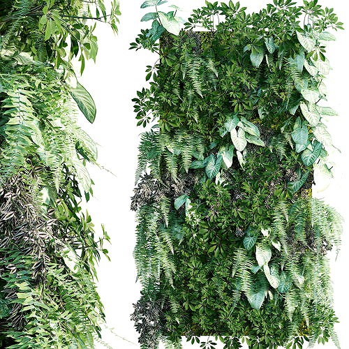 Vertical garden 16