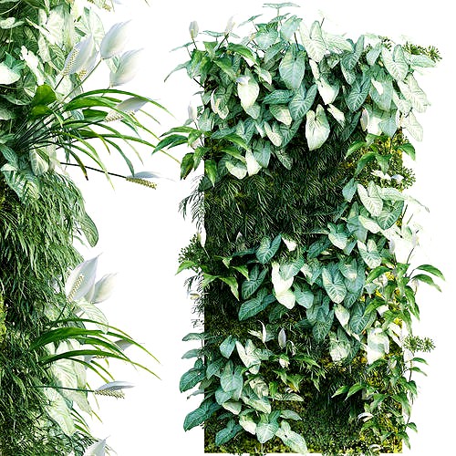 Vertical garden 17