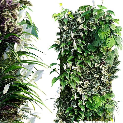 Vertical garden 19