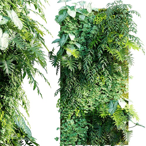 Vertical garden 20