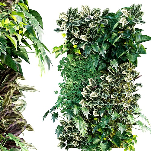 Vertical garden 21
