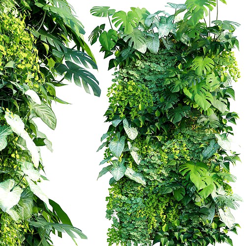 Vertical garden 22