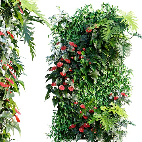 Vertical garden 23