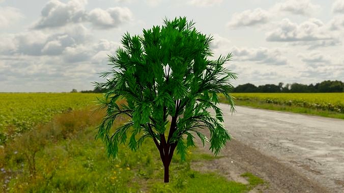 3D Tree