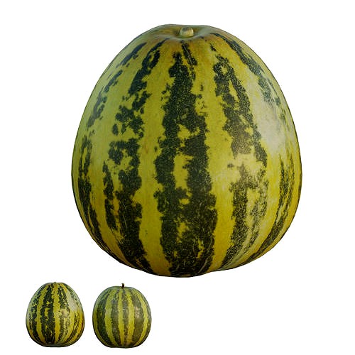 Melon