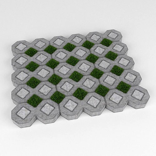 Grass Paver