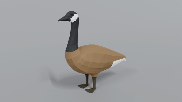 low poly cartoon canada goose
