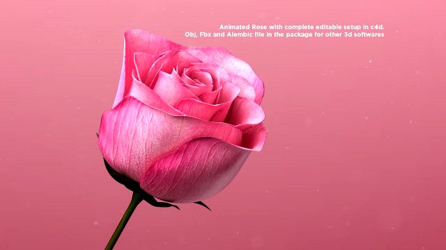 3d flower rose animated