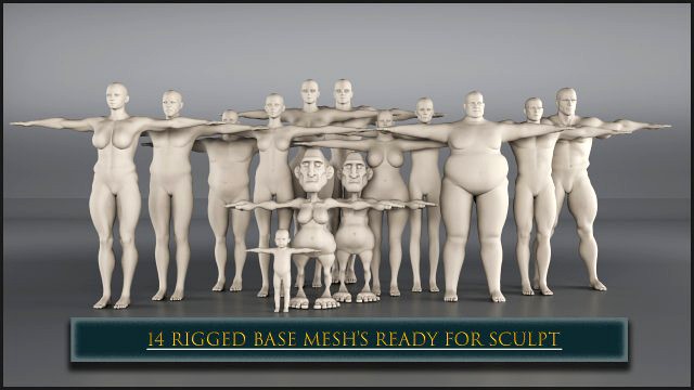 14 rigged base mesh