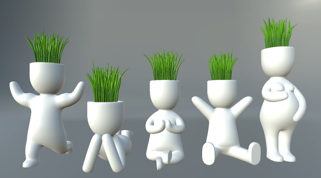 plants in decorative pots