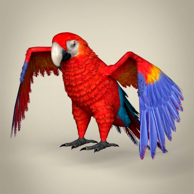 low poly parrot