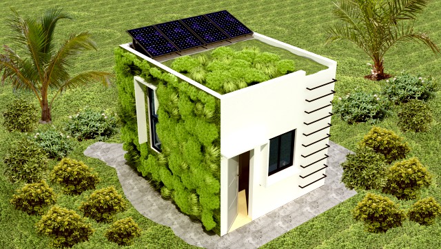 Small ecological house