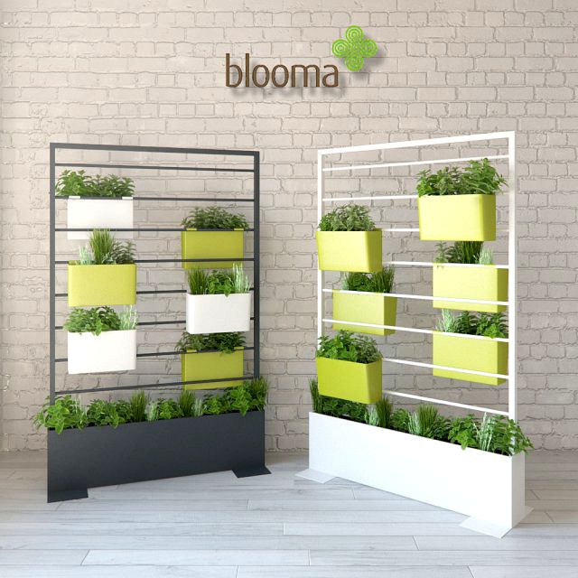 blooma vegetal divider