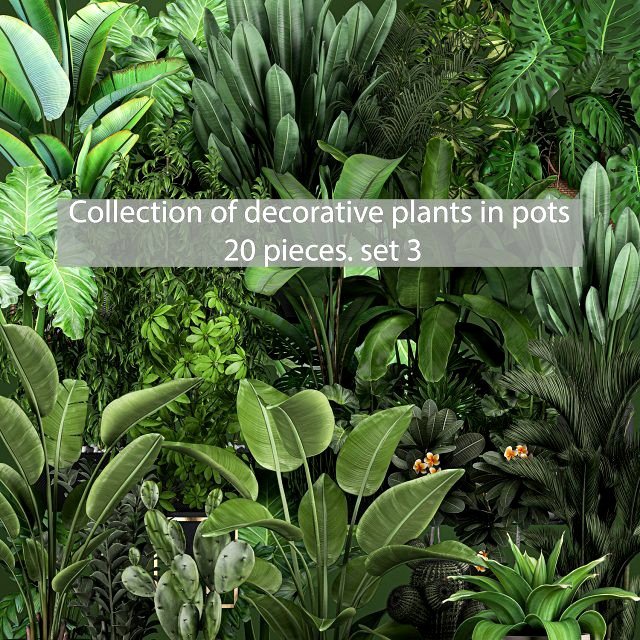 collection of plants of 20 pieces set 3 new
