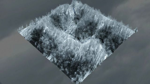 forest in winter in blender