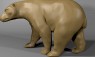 Polar bear 3D Model